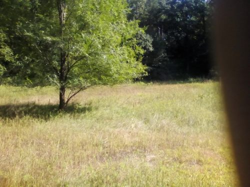 old mankind and new mankind