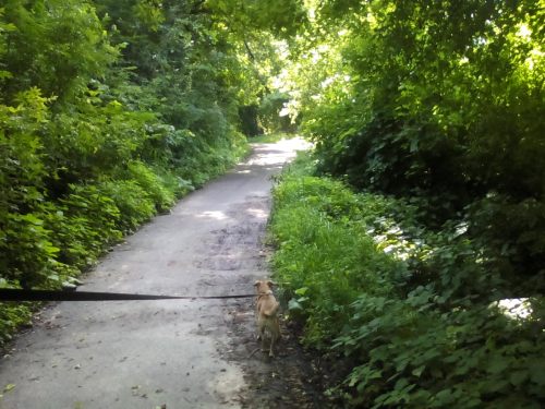 Bad Or Good In The Eye Of The Beholder