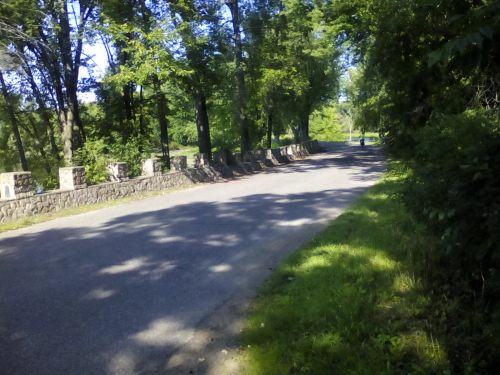 Can An Individualist.jpg