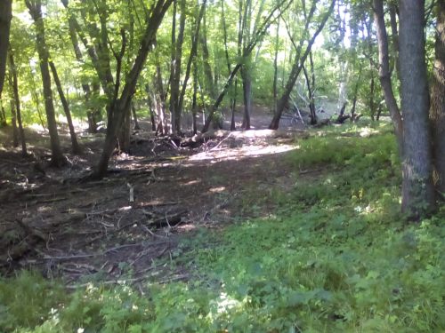 Denial Of Self And Collective Agreement