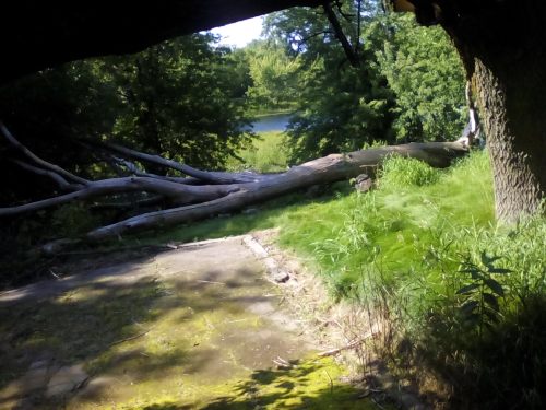 Prison Of The Mind.jpg