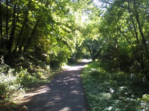 The Danger Of A Moral World